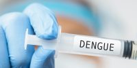 Como prevenir a dengue durante o ano todo: dicas e orientações