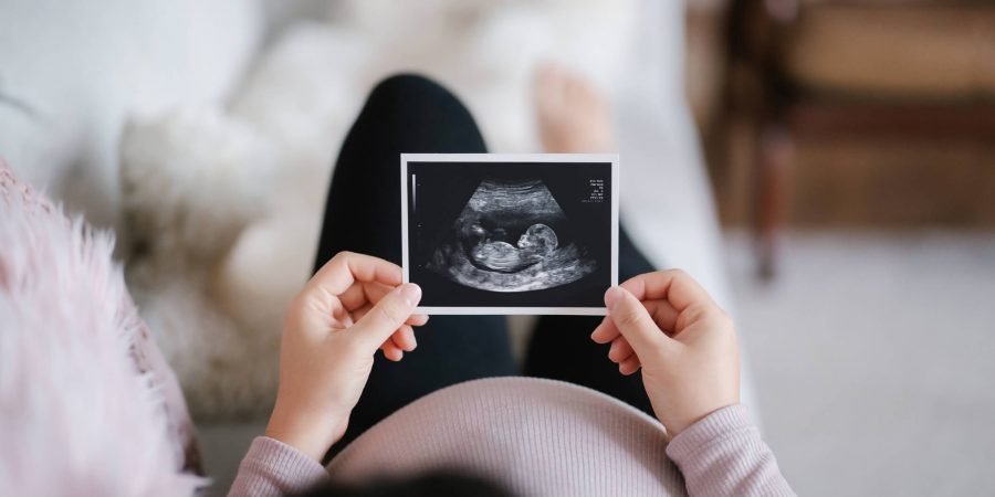 Desenvolvimento do feto: como ele ocorre durante a gestação
