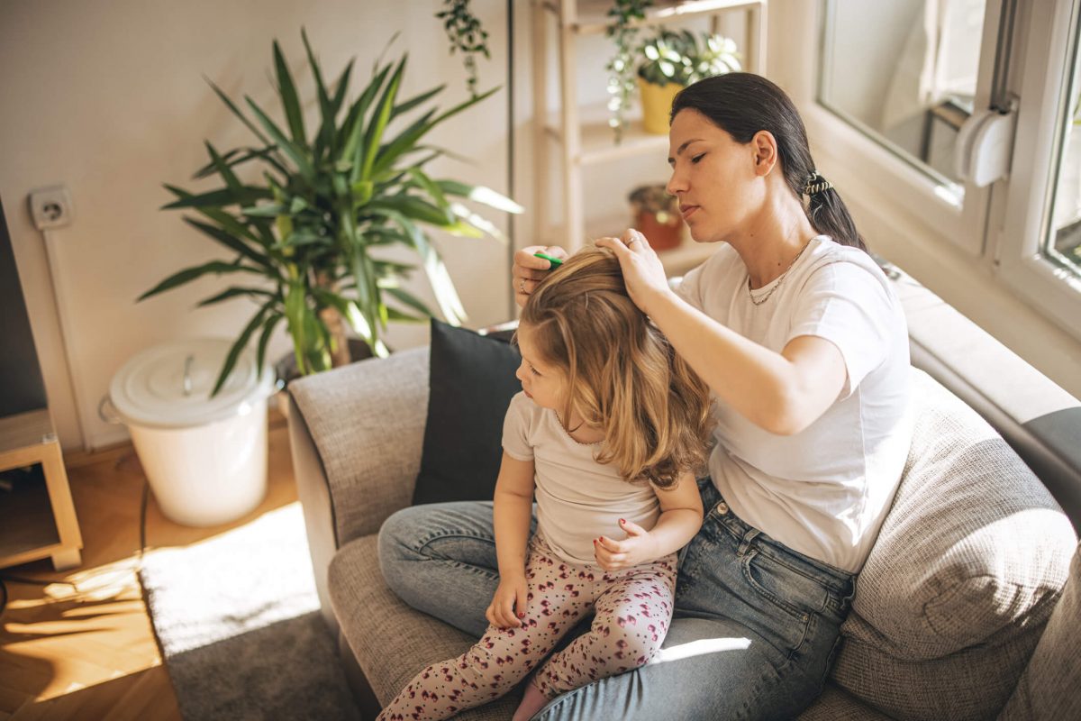 Pediculose Os Cuidados Para Prevenir O Piolho