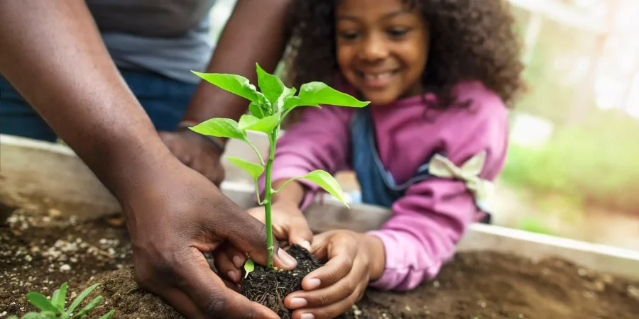 Consciência ambiental: como desenvolver esse pensamento nas crianças