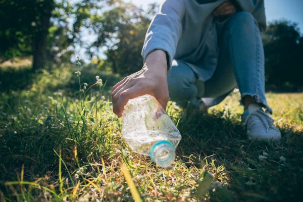 Semana do Meio Ambiente: 6 formas de ajudar na preservação