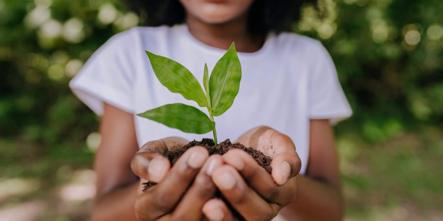 Jogo com natureza ambientes e qualidade de vida para a educação