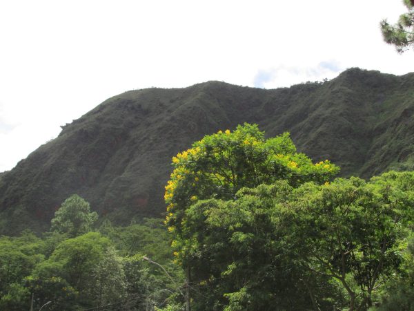 Parque da Serra do Curral: principais atrações