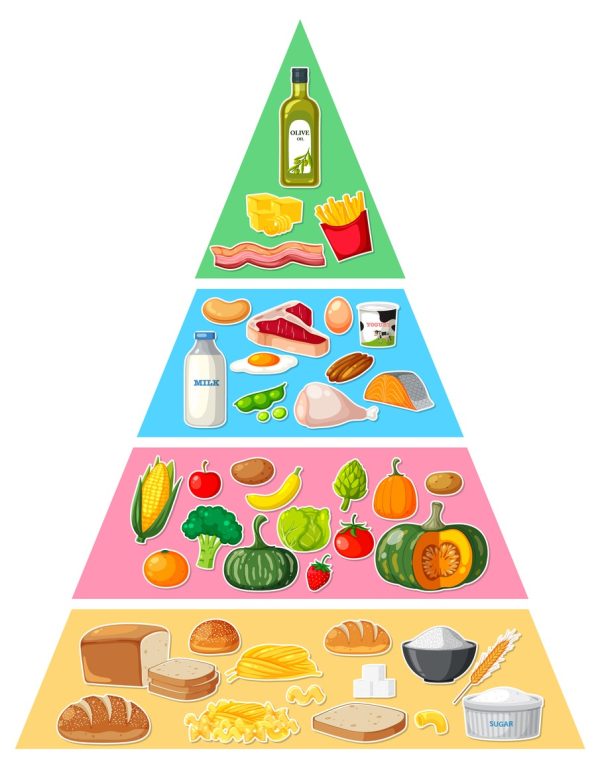 Pirâmide alimentar infantil: conheça as recomendações nutricionais
