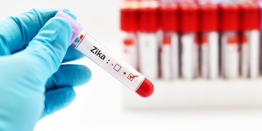 Zika Vírus: transmissão, sintomas, tratamento e prevenção
